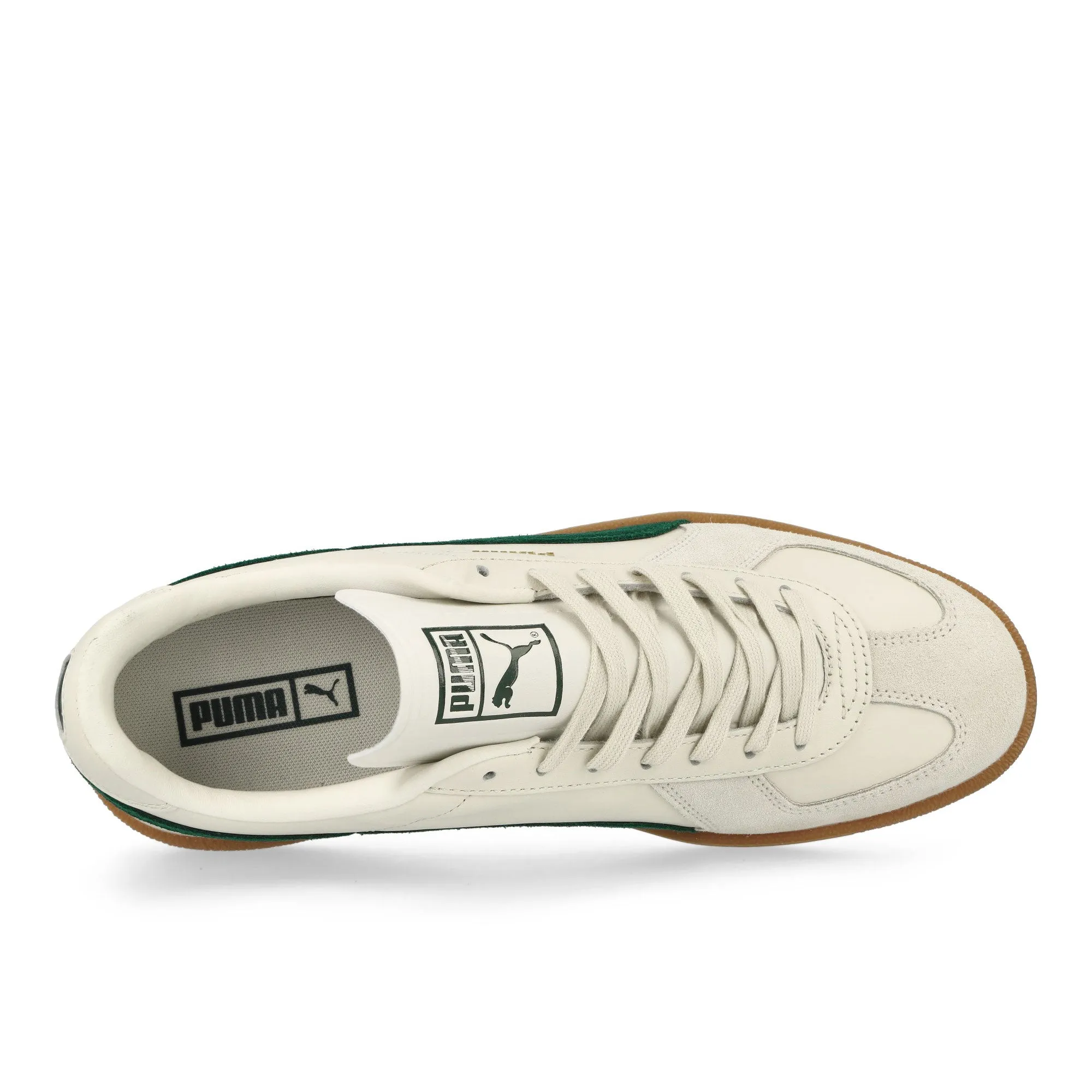 Army Trainer