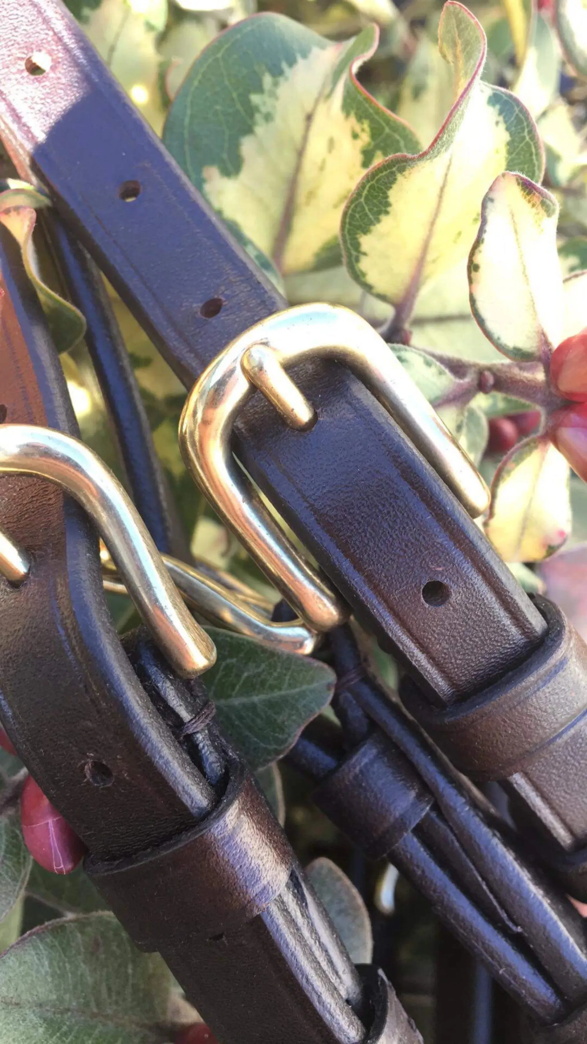 Collegiate V Shaped Diamante Hano Bridle