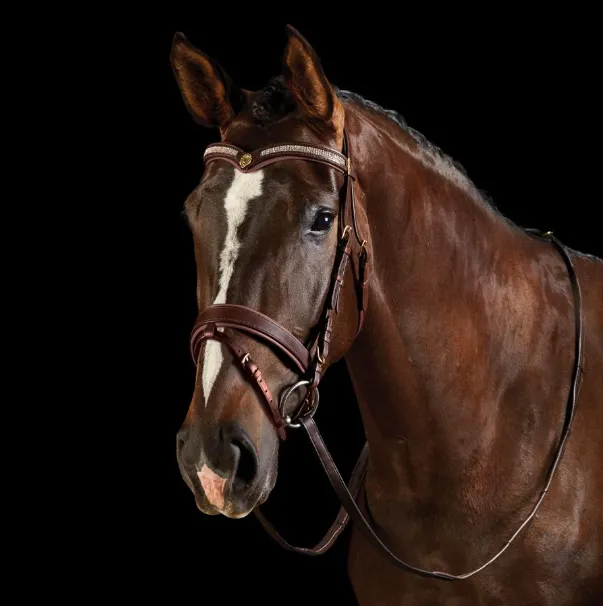 Collegiate V Shaped Diamante Hano Bridle