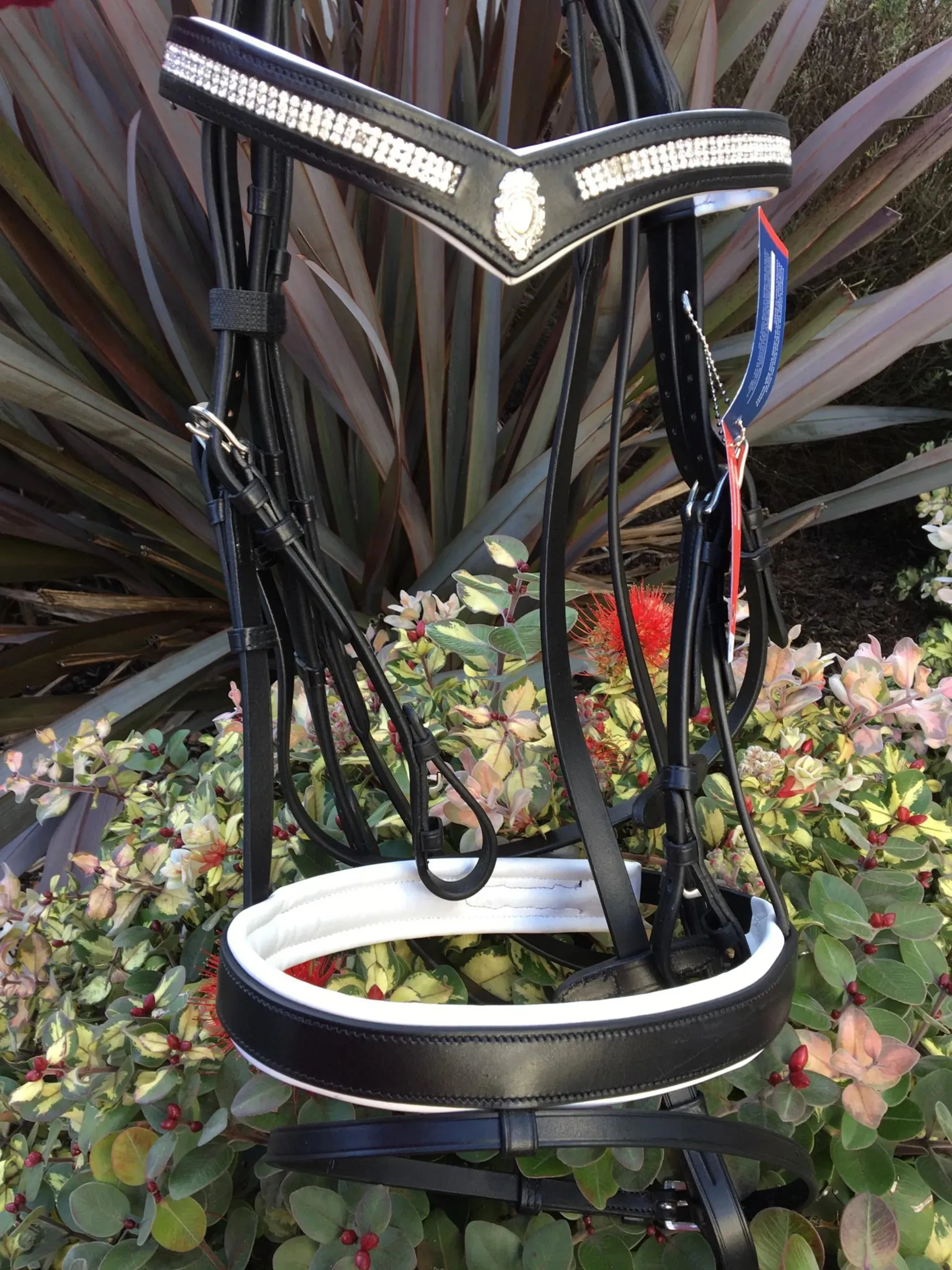 Collegiate V Shaped Diamante Hano Bridle
