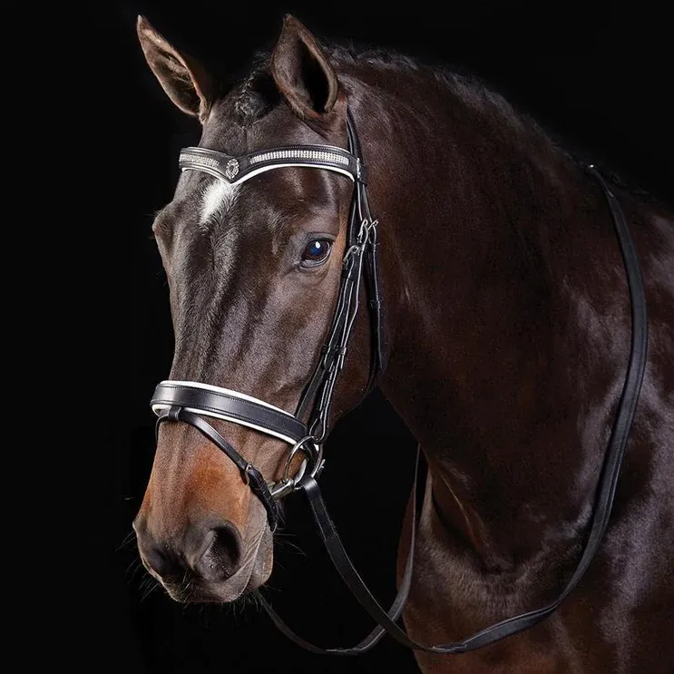 Collegiate V Shaped Diamante Hano Bridle