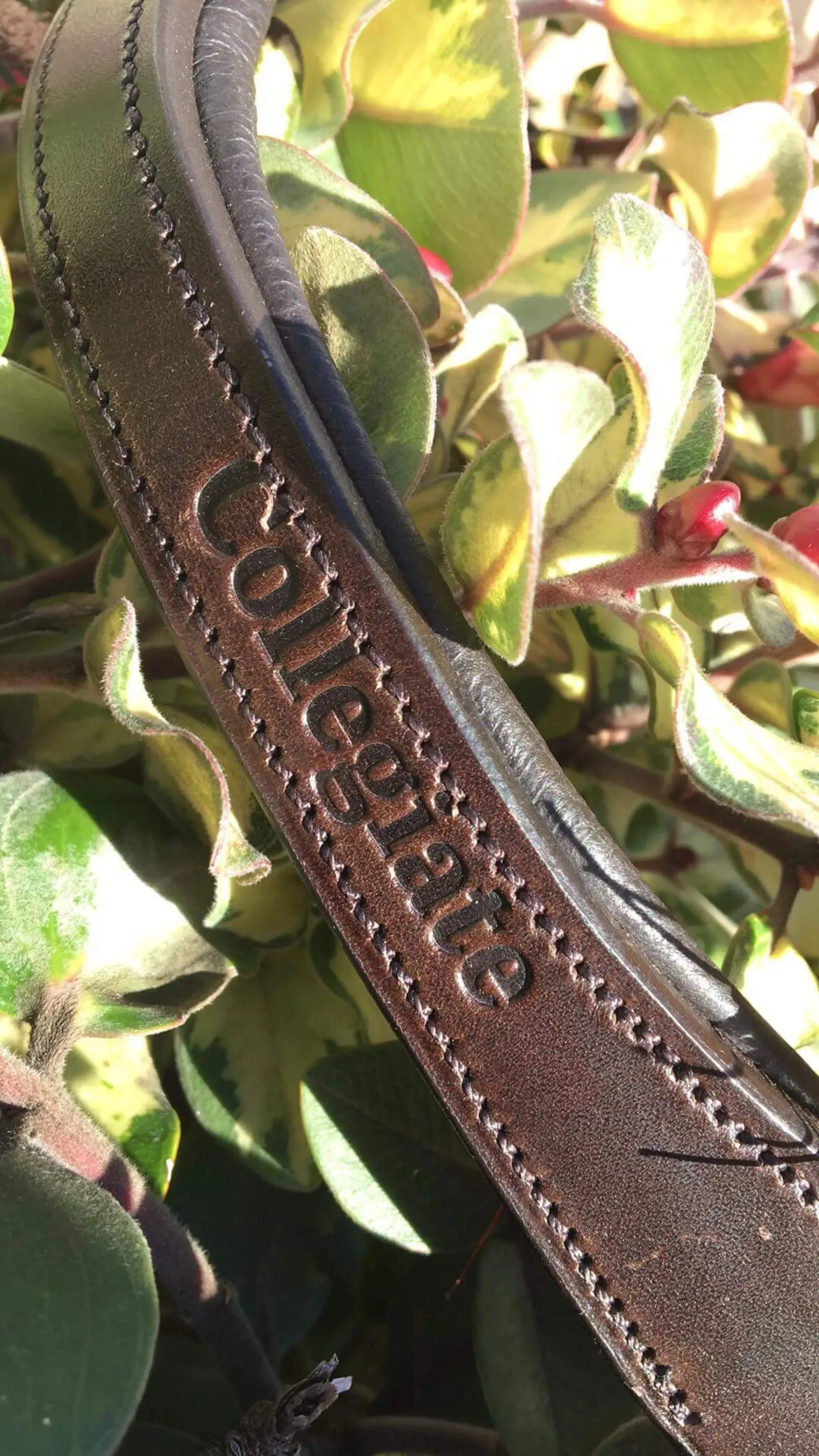 Collegiate V Shaped Diamante Hano Bridle