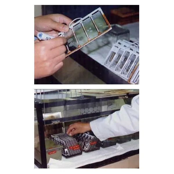 Glass Slide Holder
