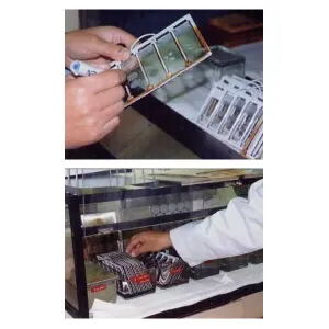 Glass Slide Holder