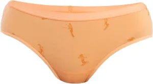 Icebreaker Merino Women's Merino 150 Siren Hipkini Snow Day