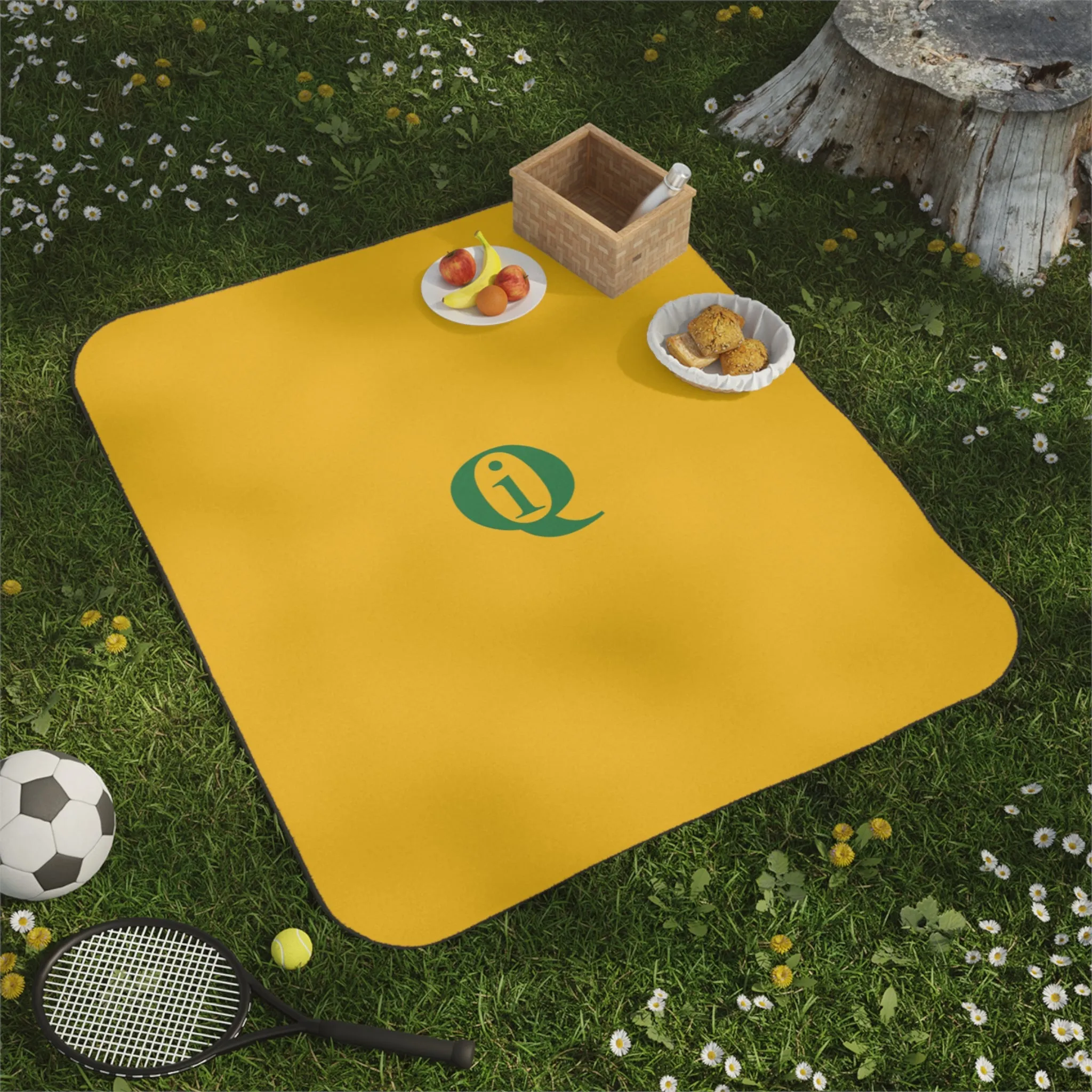 IQ Fashion | Picnic Blanket