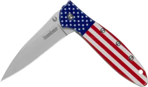 Kershaw Leek Folding Pocket Knife, 3" Sandvik 14C28N Blade, Aluminum Handle, Slim and Versatile Tool, Made in the USA