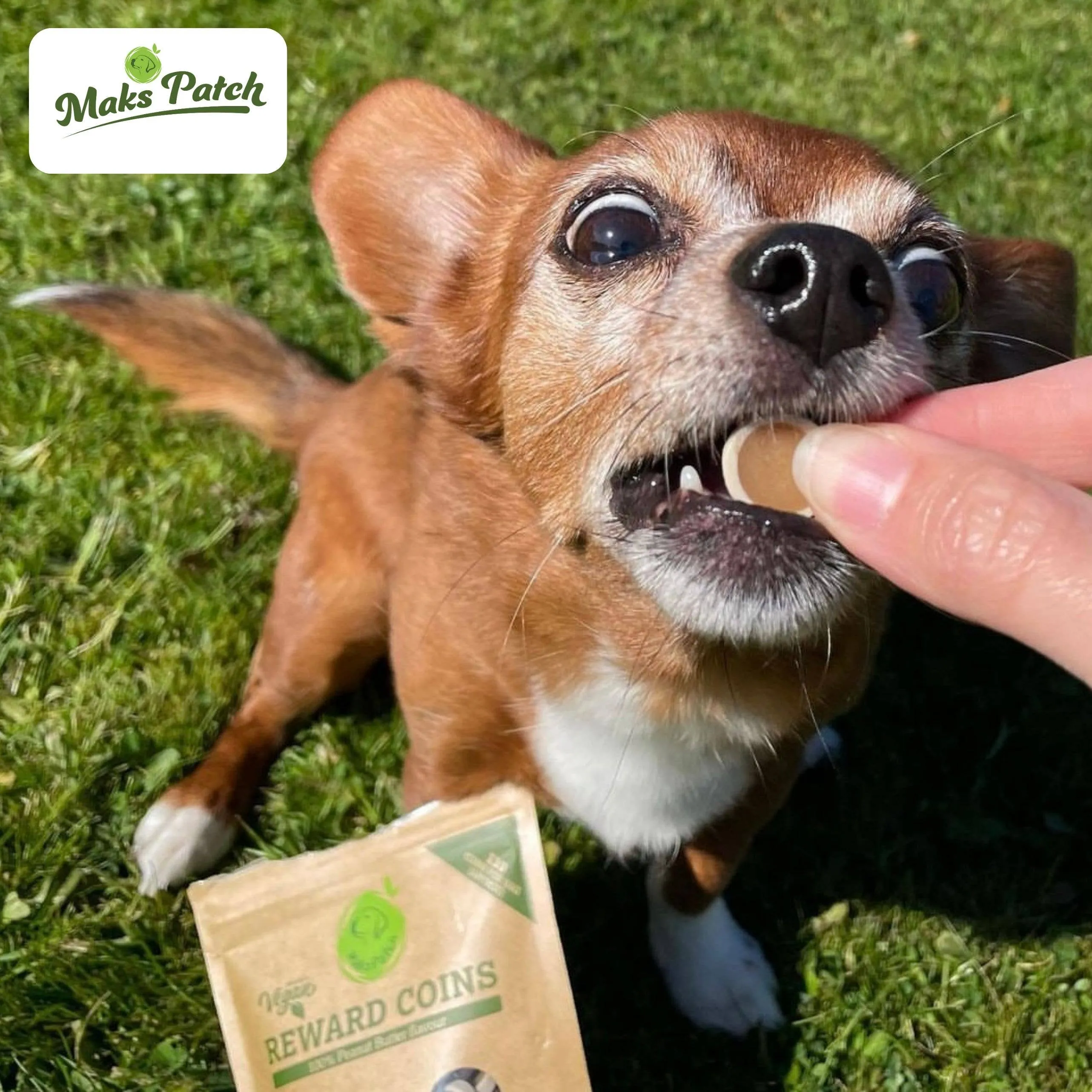 Maks'Patch Peanut Butter Reward Coins Dog Treats -100g