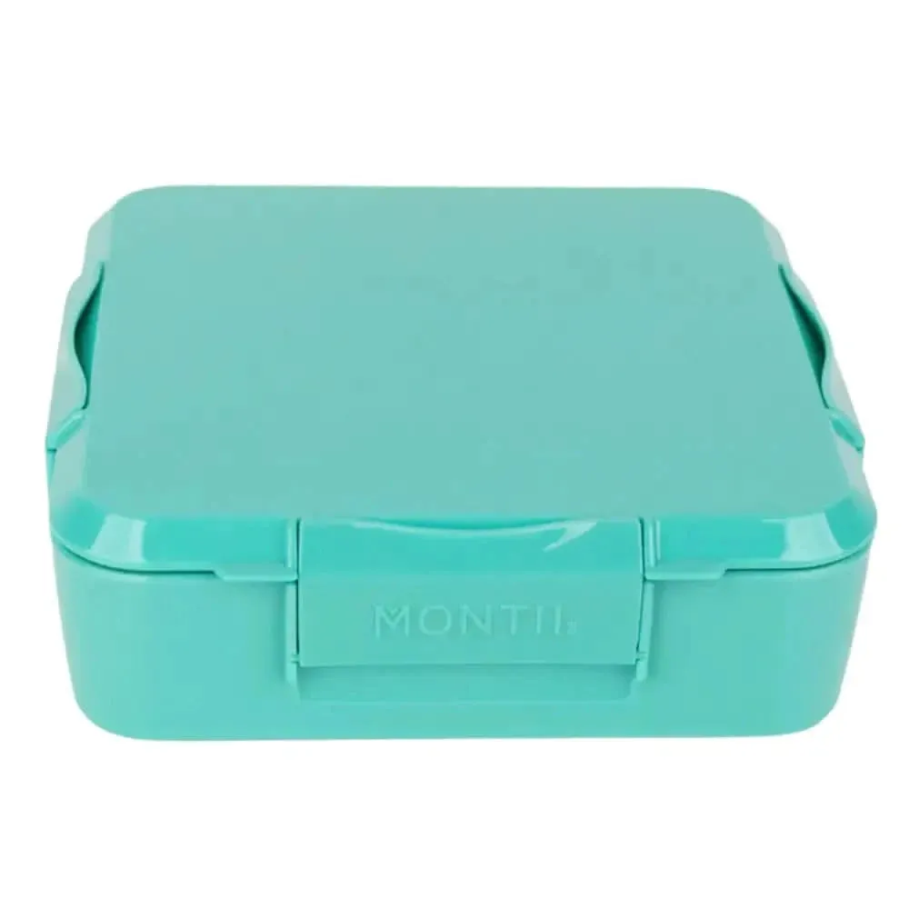 Personalised Mint Lunch Box - Stegosaurus
