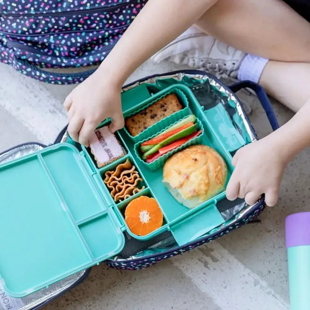 Personalised Mint Lunch Box - Stegosaurus