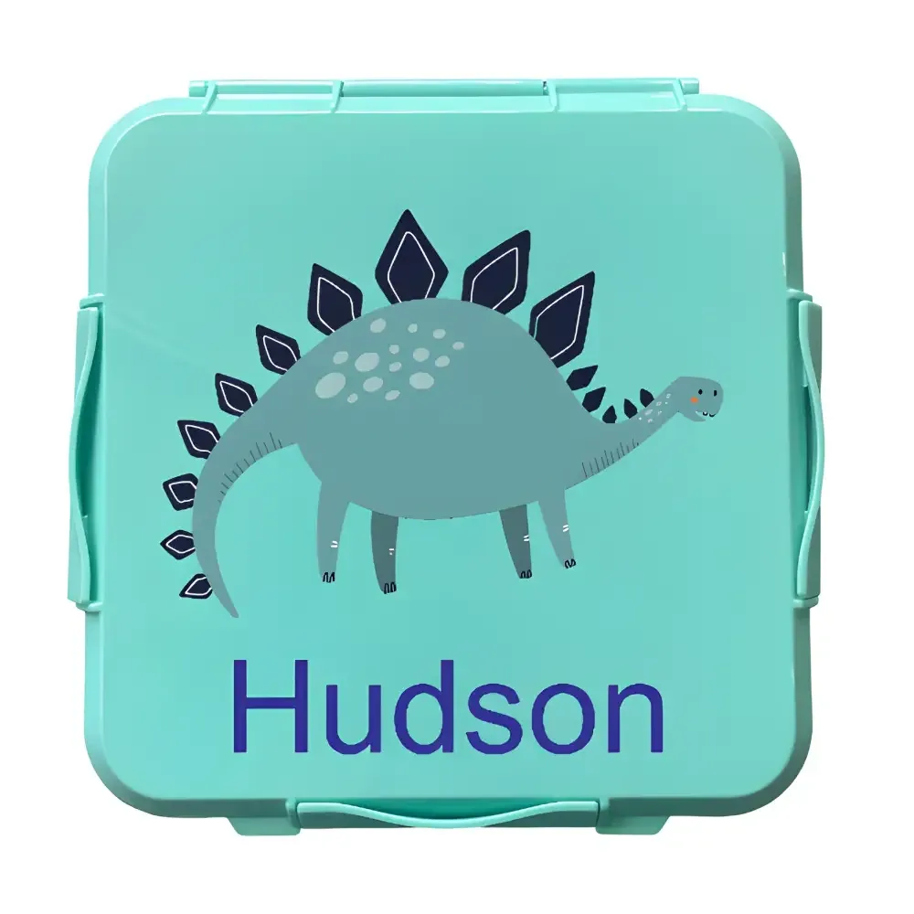 Personalised Mint Lunch Box - Stegosaurus