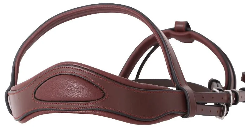 Platinum Signature Classic Bridle