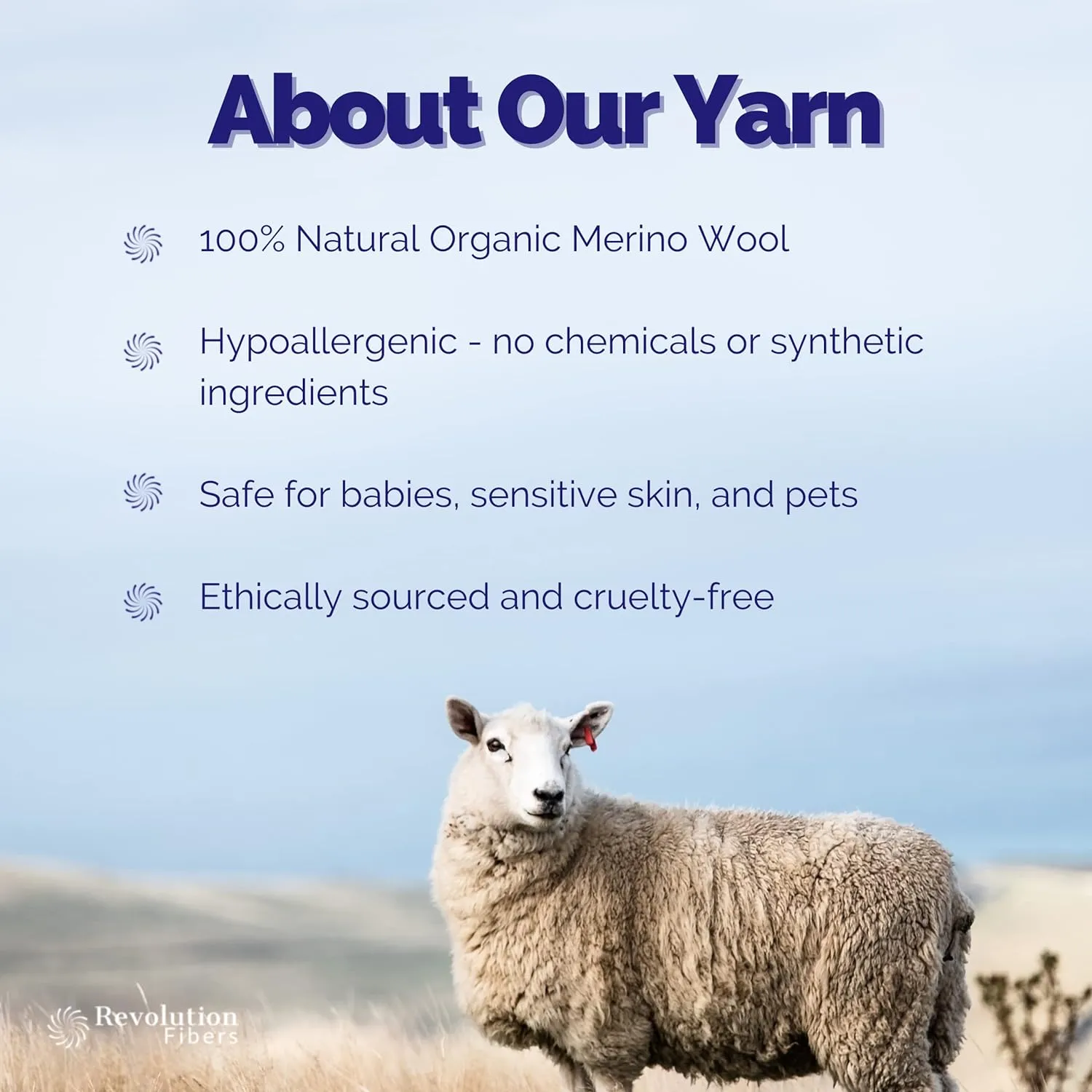 Premium Super Bulky Merino Yarn - 100-Grams of Thick Wool for Knitting, Crochet, Baby Blanket, Dyed, Felting, Weaving - Duck Egg Green