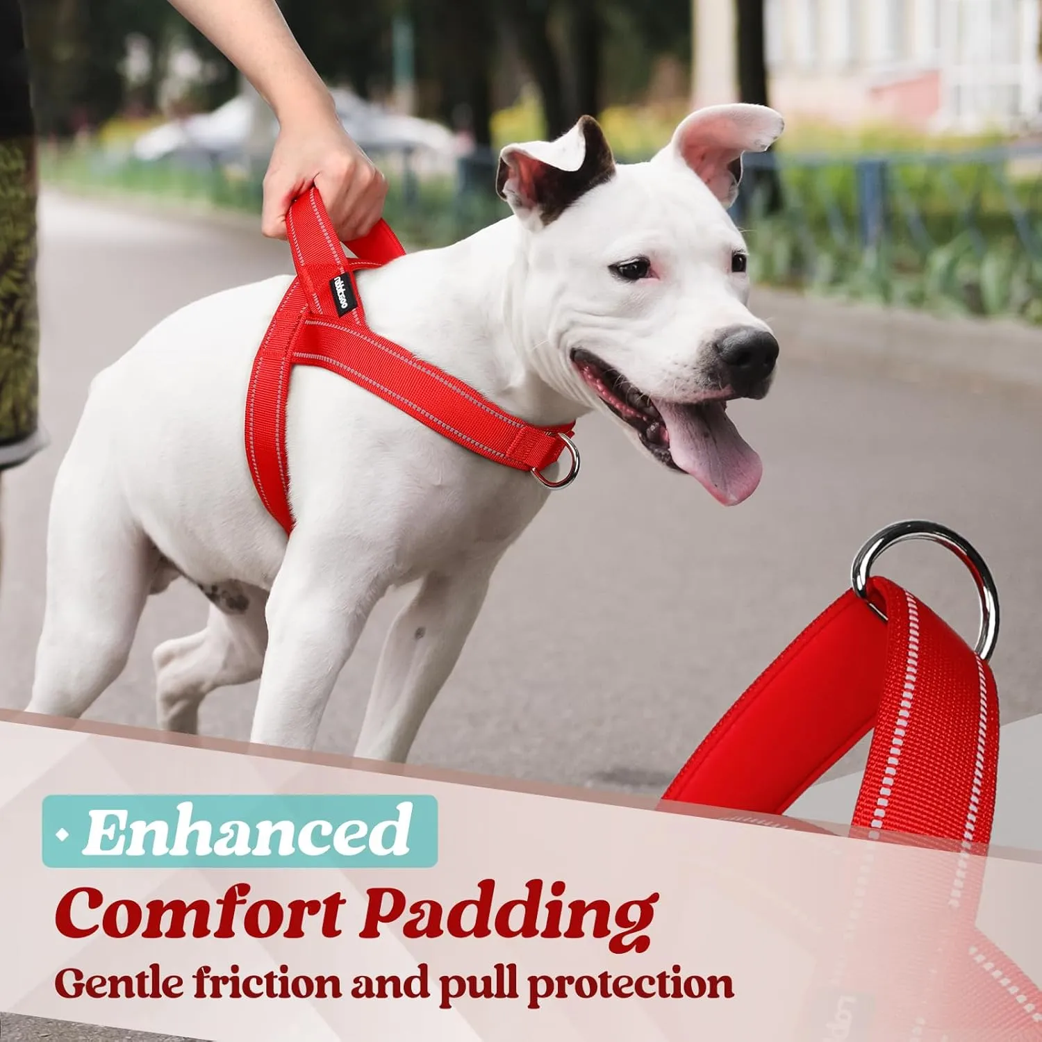 rabbitgoo Dog Harness No Pull, Quick Fit for Small Dogs with Soft Padded Handle, Chest Adjustable Reflective Pet Vest, No Choke Escape Proof for Walking Training, Red S