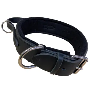 Schweikert Leather Agitation Collar with handle