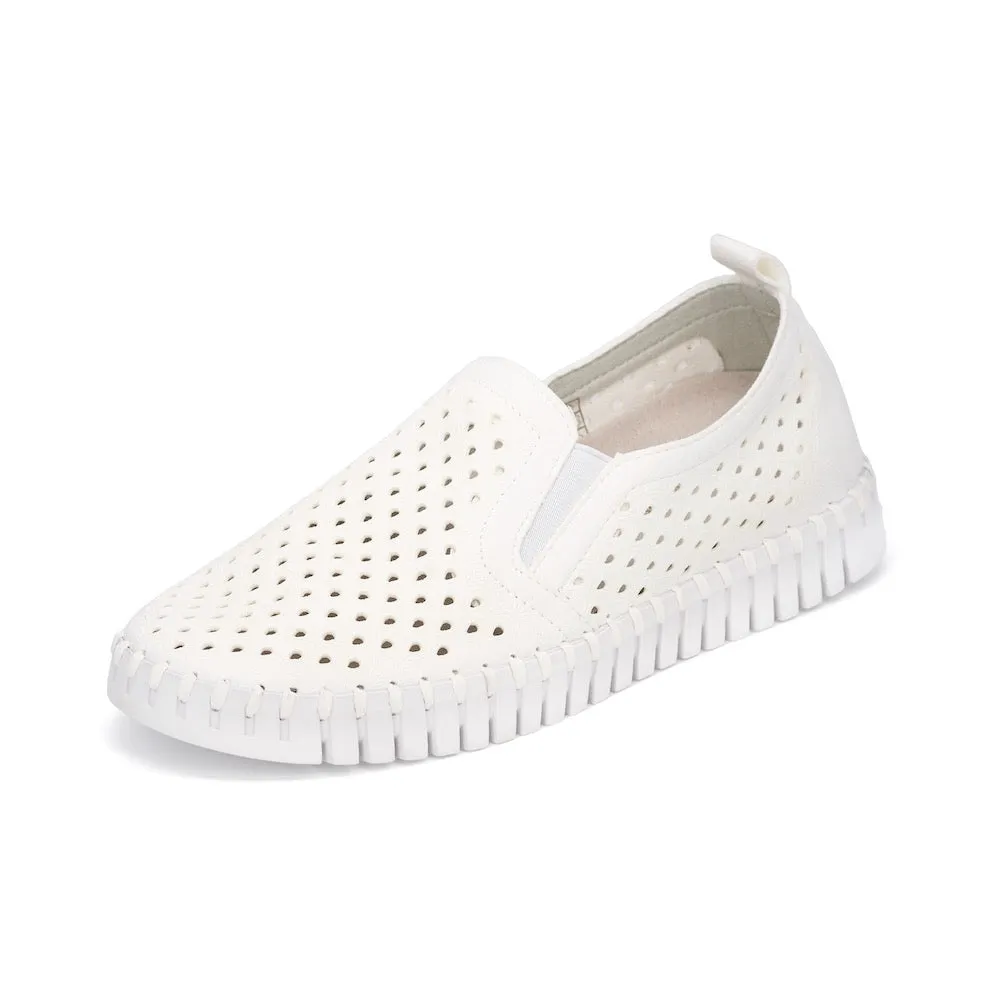 Sneaker Tulip by Ilse Jacobsen