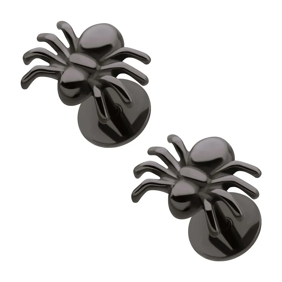 Spiders