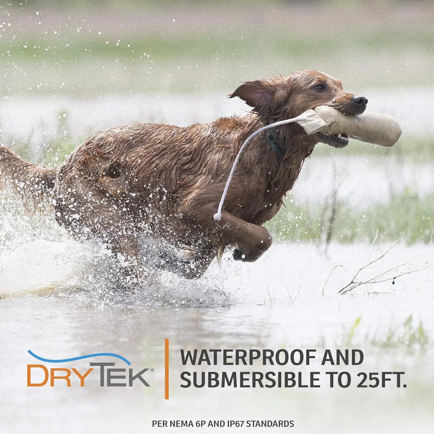 SportDOG Brand FieldTrainer 425X Remote Trainer - 500 Yard Range - Waterproof, Rechargeable Dog Training Collar with Static, Vibrate, and Tone