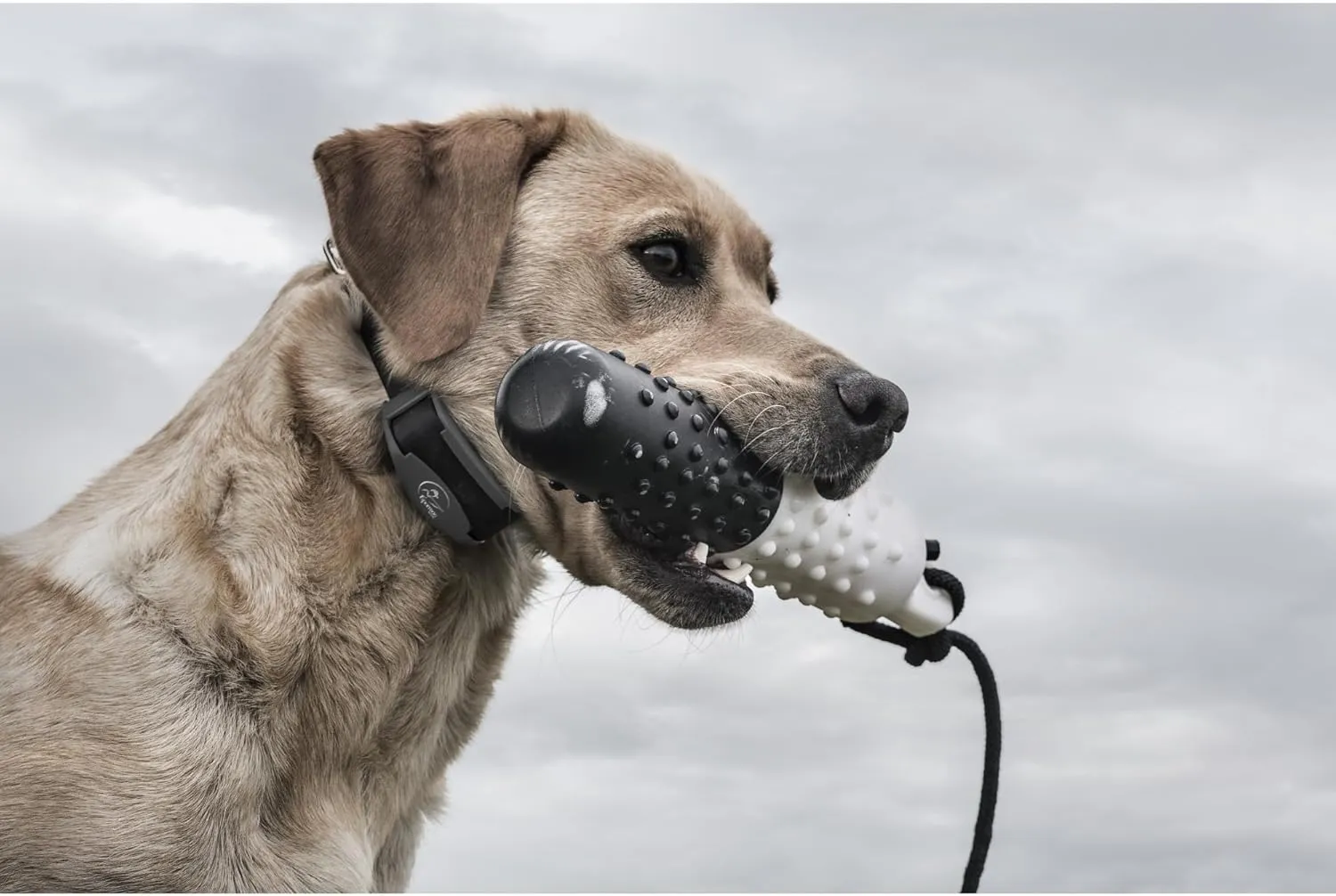 SportDOG Brand FieldTrainer 425X Remote Trainer - 500 Yard Range - Waterproof, Rechargeable Dog Training Collar with Static, Vibrate, and Tone