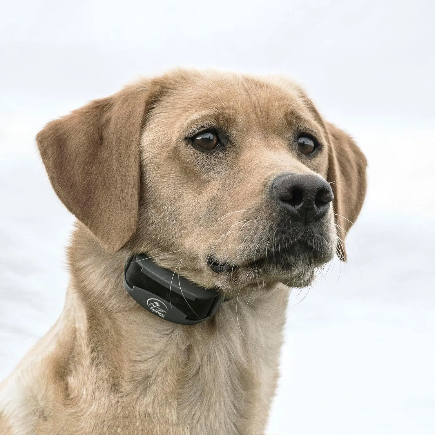 SportDOG Brand FieldTrainer 425X Remote Trainer - 500 Yard Range - Waterproof, Rechargeable Dog Training Collar with Static, Vibrate, and Tone