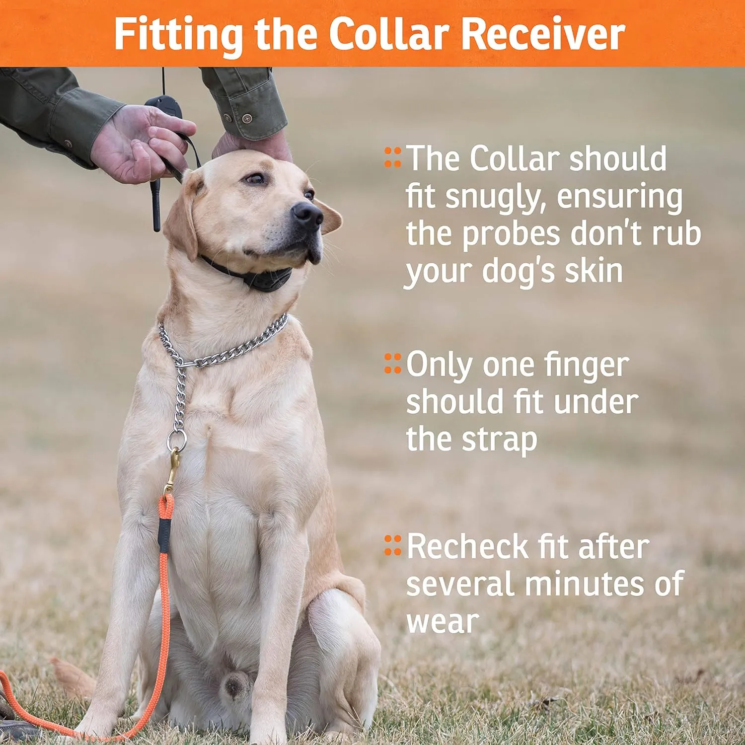 SportDOG Brand SportTrainer 875 Remote Trainer - Static Collar - 1/2 Mile Range - OLED Screen - Waterproof, Rechargeable E-Collar with Remote - Tone, Vibration, and Static, Black
