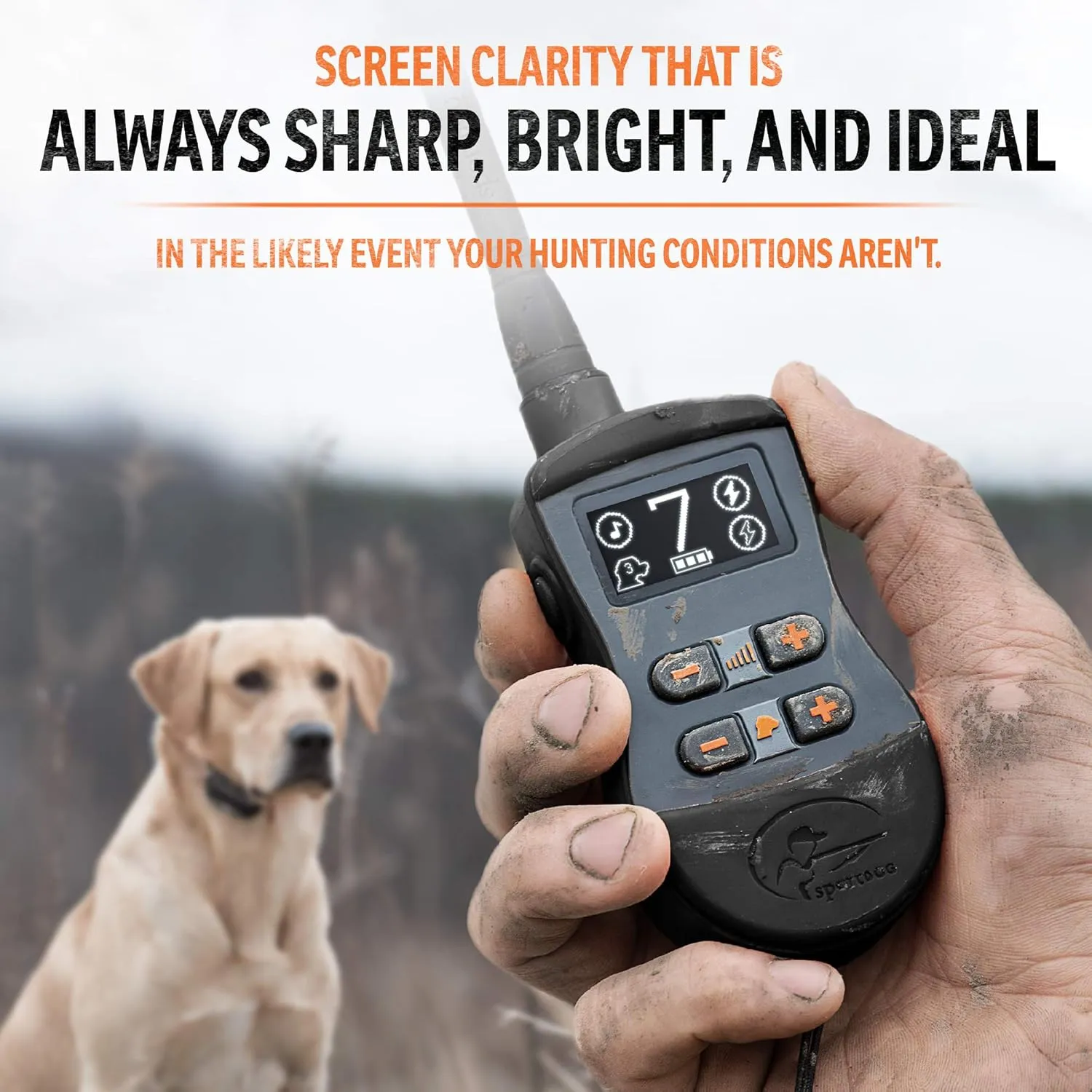 SportDOG Brand SportTrainer 875 Remote Trainer - Static Collar - 1/2 Mile Range - OLED Screen - Waterproof, Rechargeable E-Collar with Remote - Tone, Vibration, and Static, Black